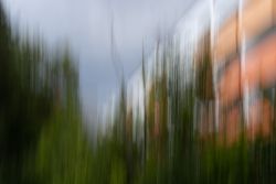HD jpg Heiderose Detsch 2022  4